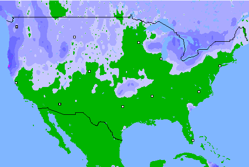 Precipitation (24 h) USA